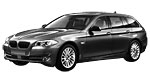 BMW F11 U209C Fault Code